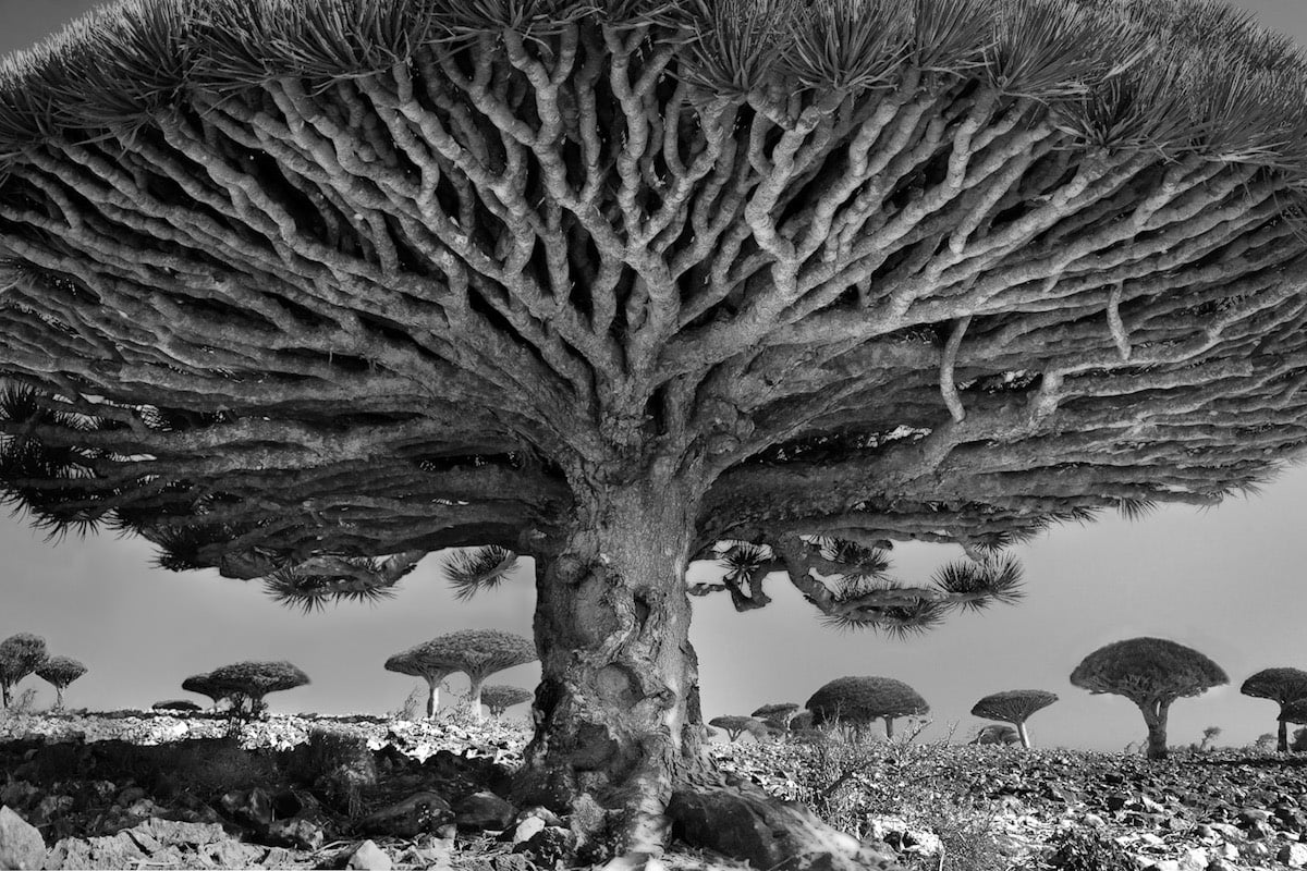 Beth Moon