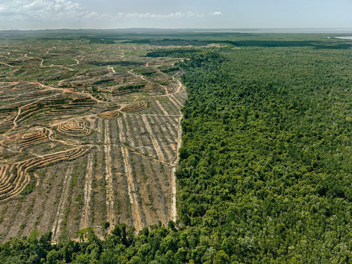 Burtynsky Anthropocene