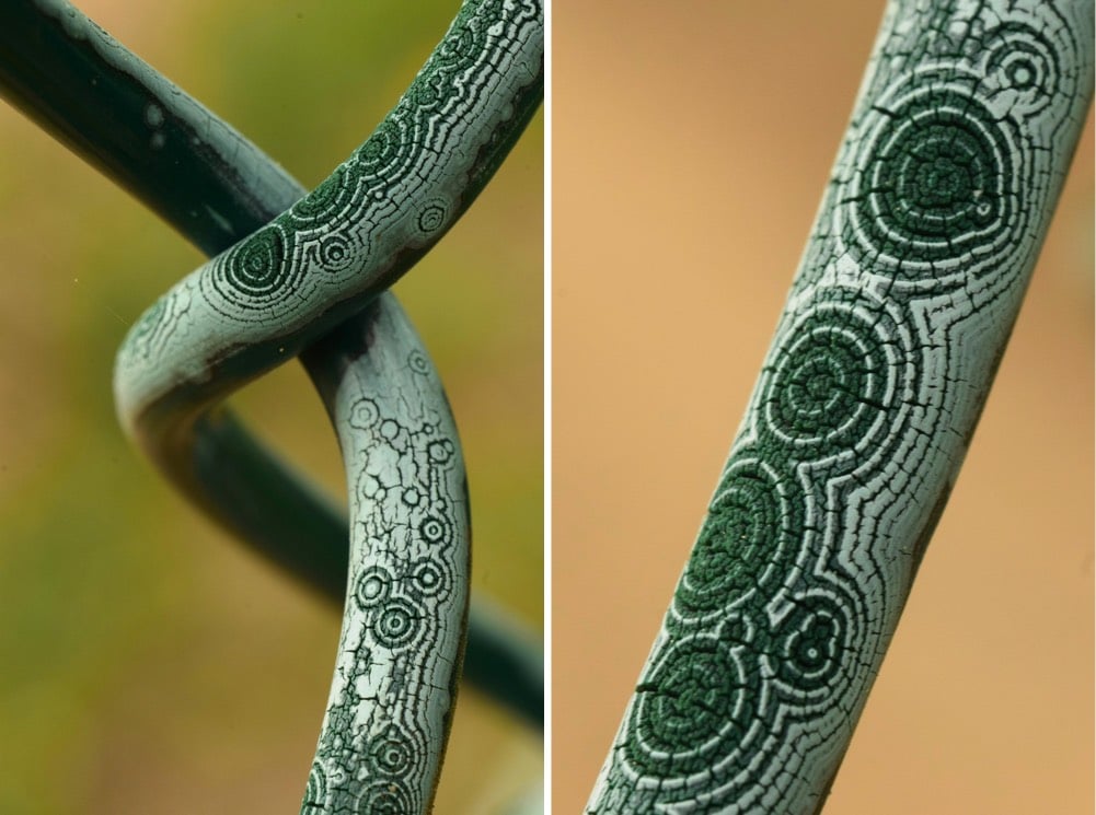 Chain Link Fence Weathered