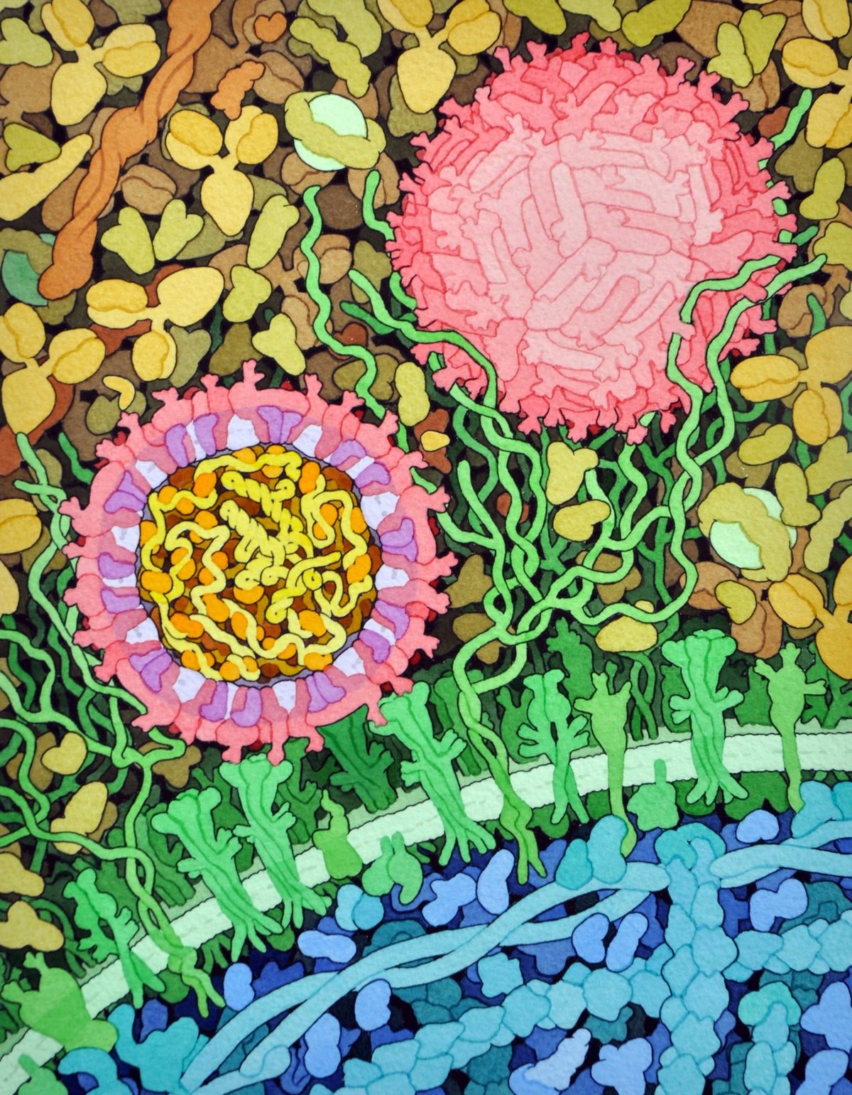 David Goodsell