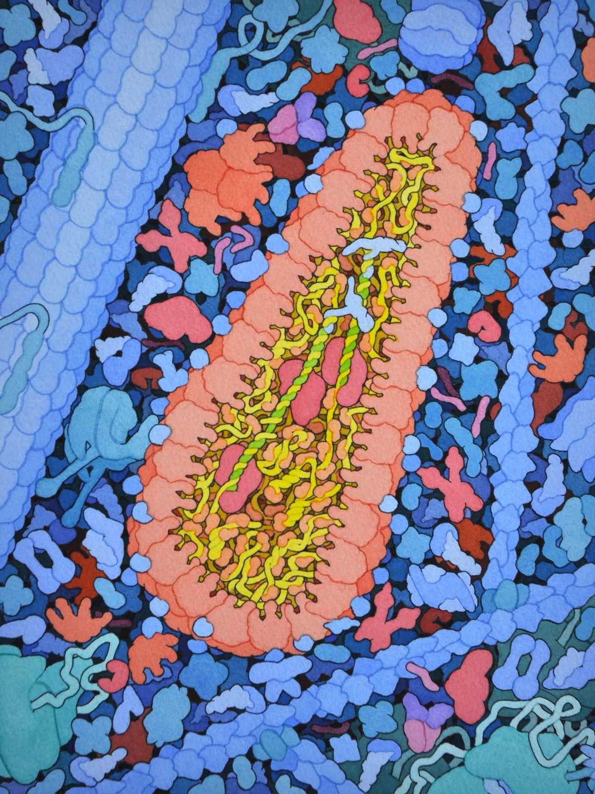 David Goodsell