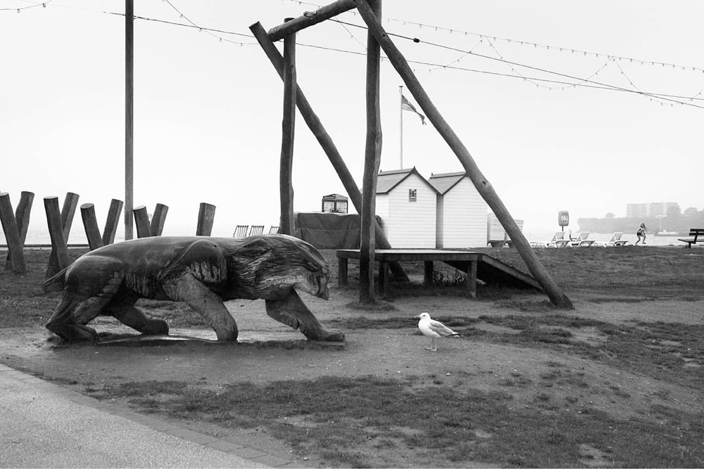 a seagull faces off with a wooden carving of a bear