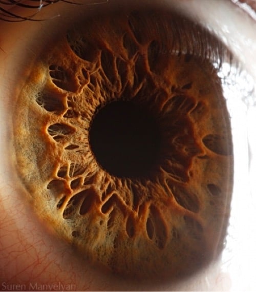 closeup photo of an eye