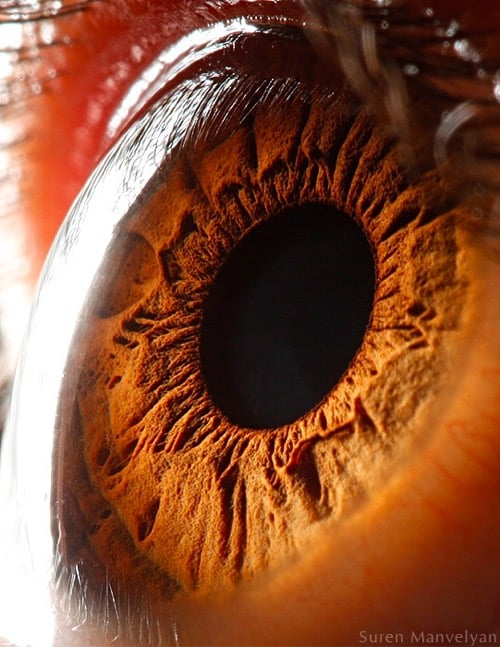 closeup photo of an eye