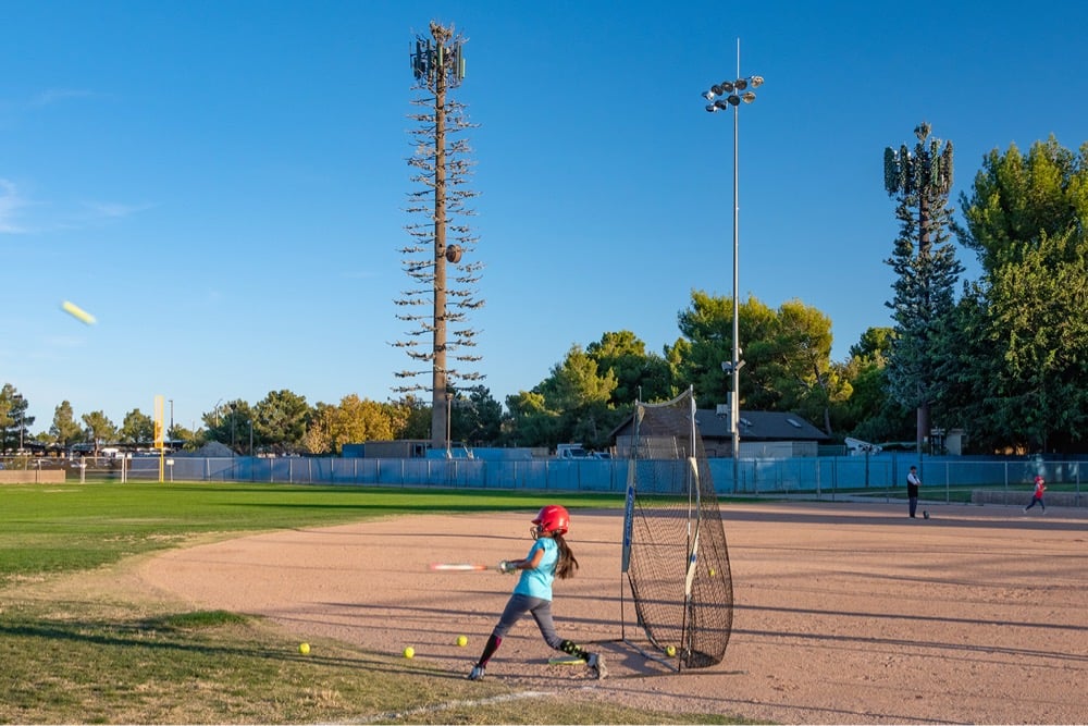 disguised cell phone towers