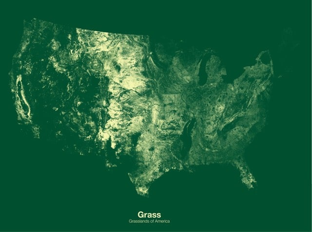 Grasslands Map