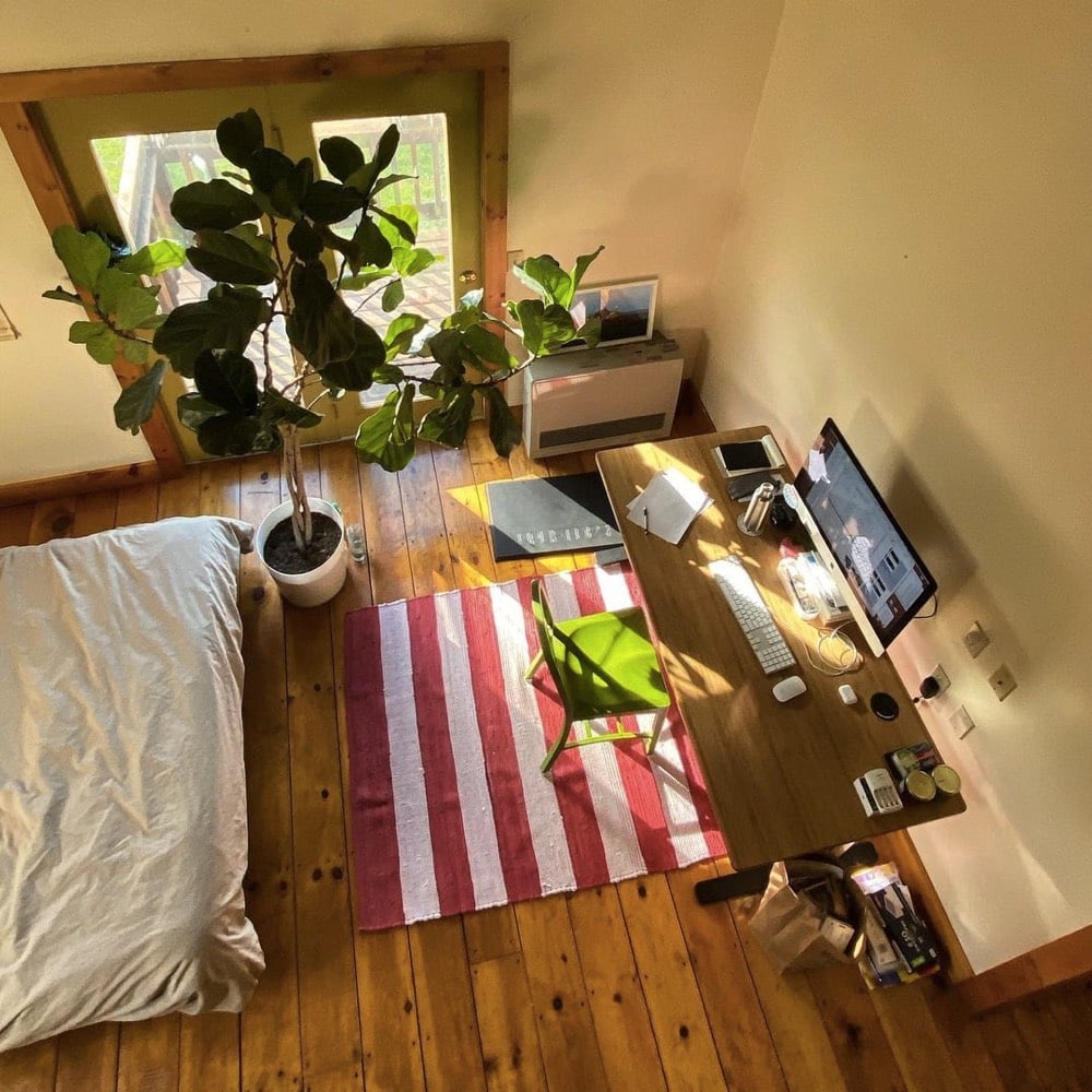 overhead view of my home office with a fiddle leaf fig tree