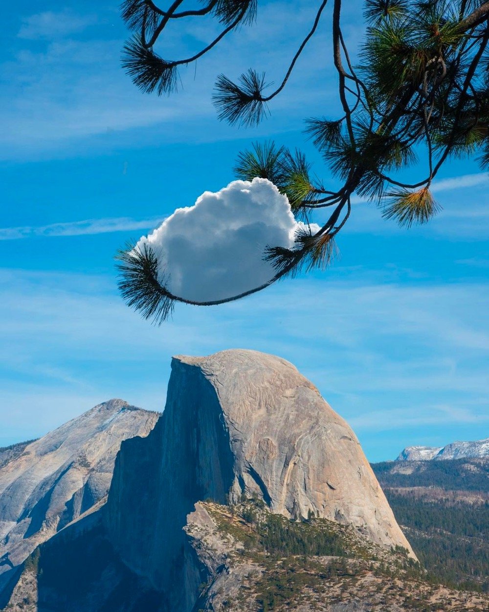 a cloud nestles in a tre branch above a cliff face