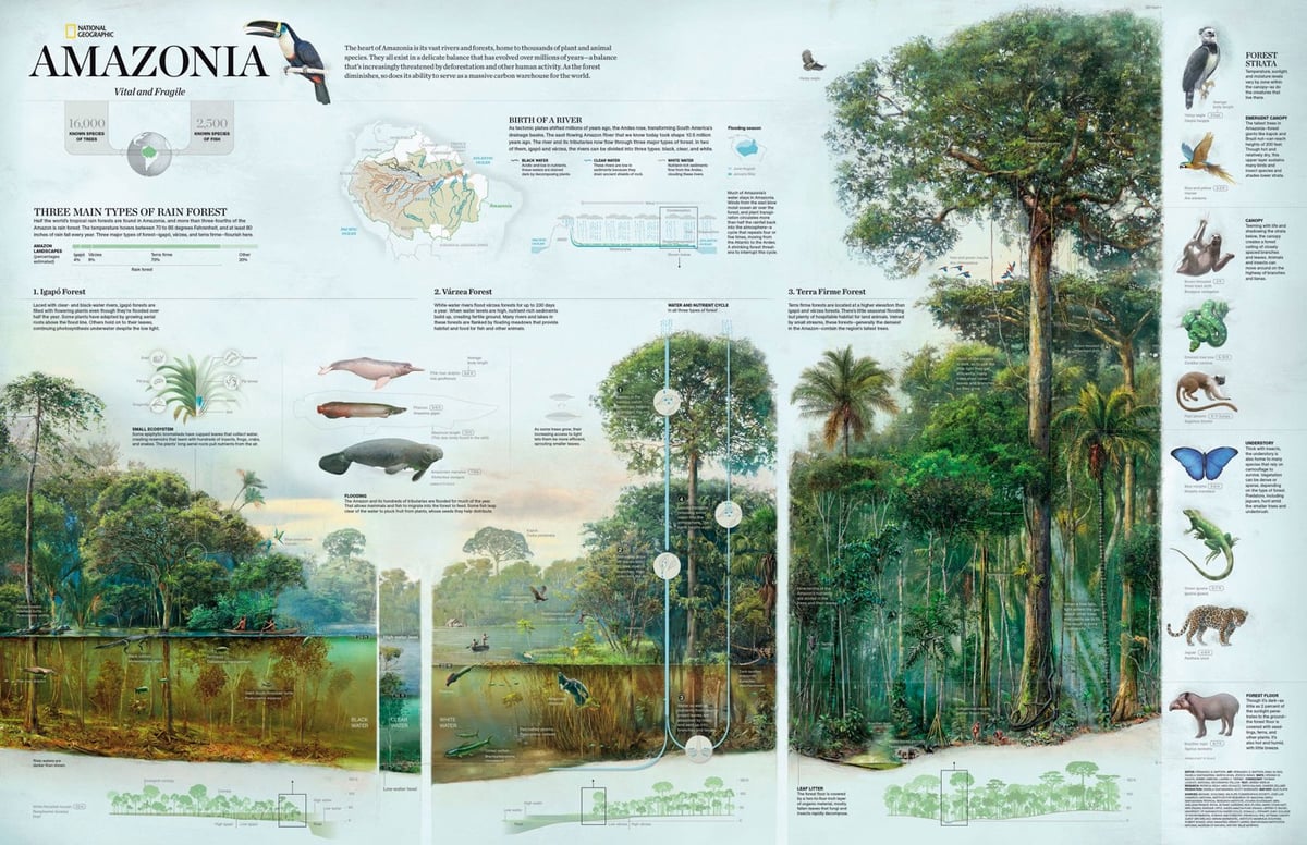 National Geographic Infographics