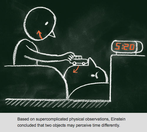 Niemann's laws of physics