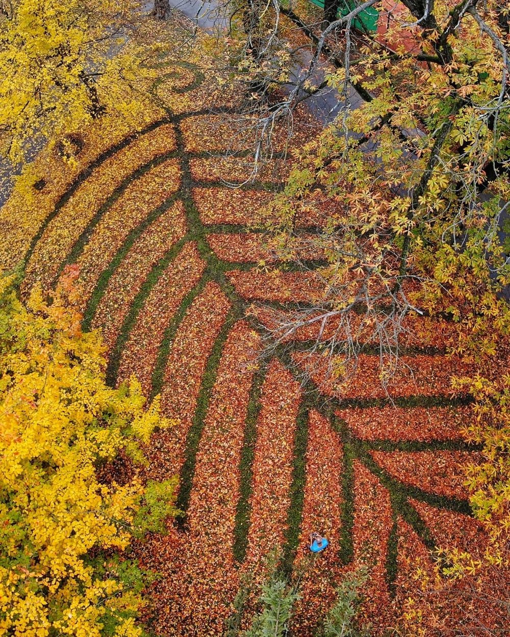 aerial view of a park with leaves raked into geometric patterns