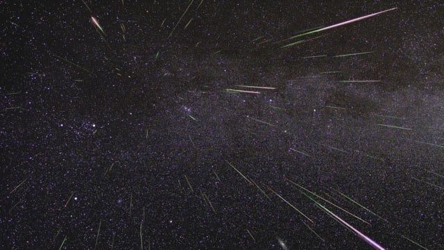 Perseids