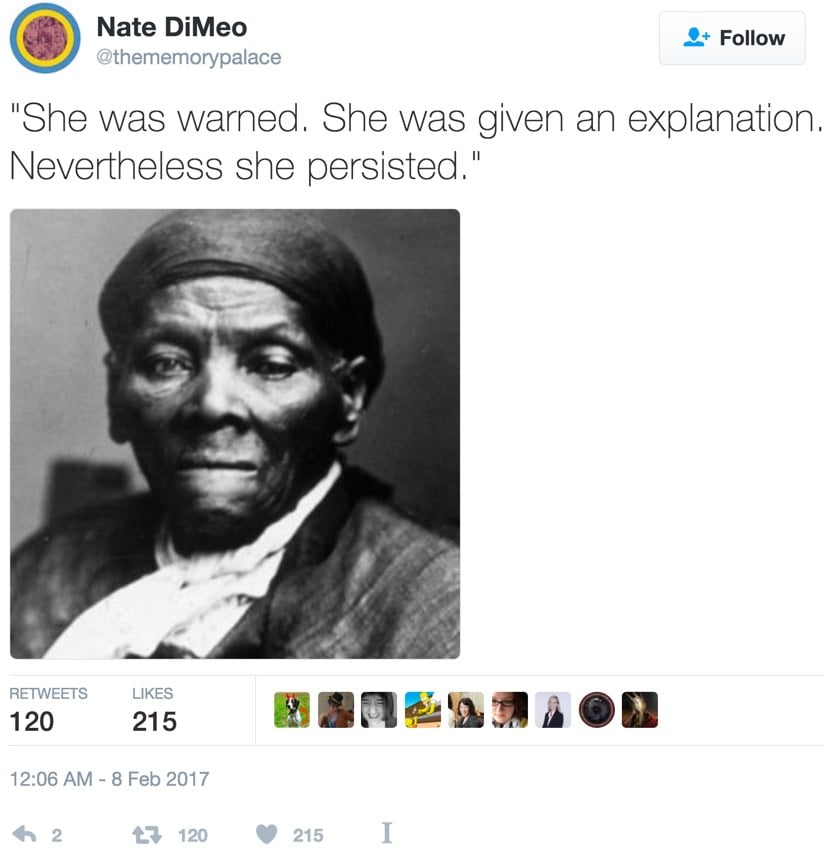 She Persisted