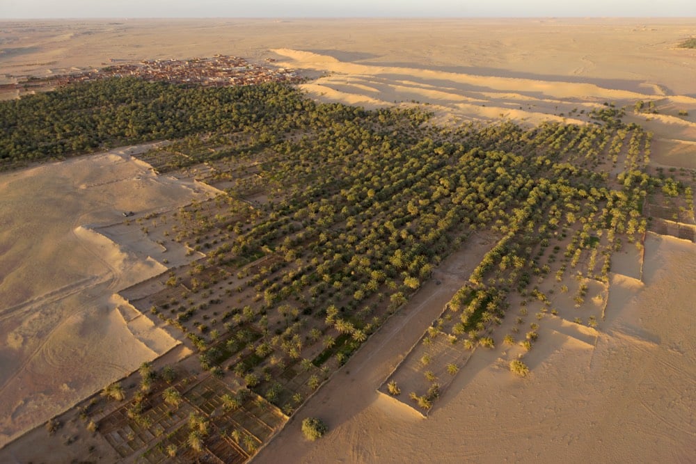 Steinmetz Desert