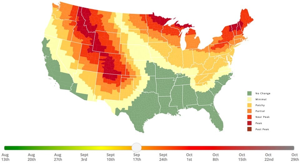 2017 Foliage Map