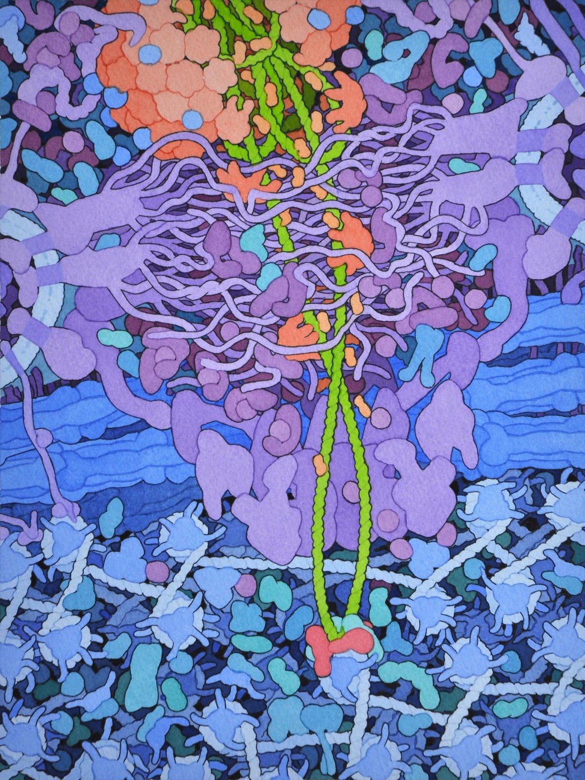 David Goodsell