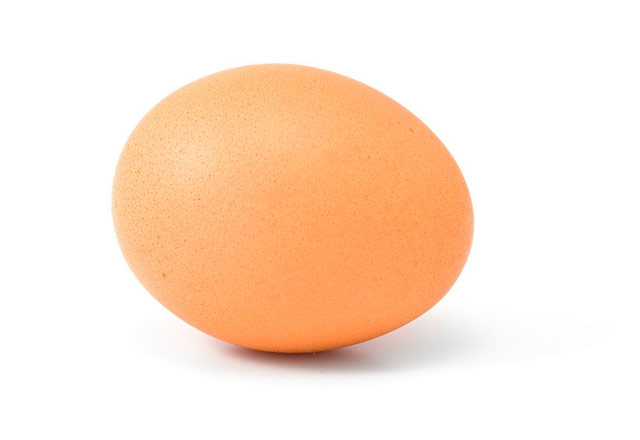 Egg