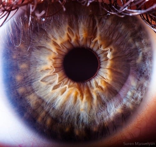 closeup photo of an eye