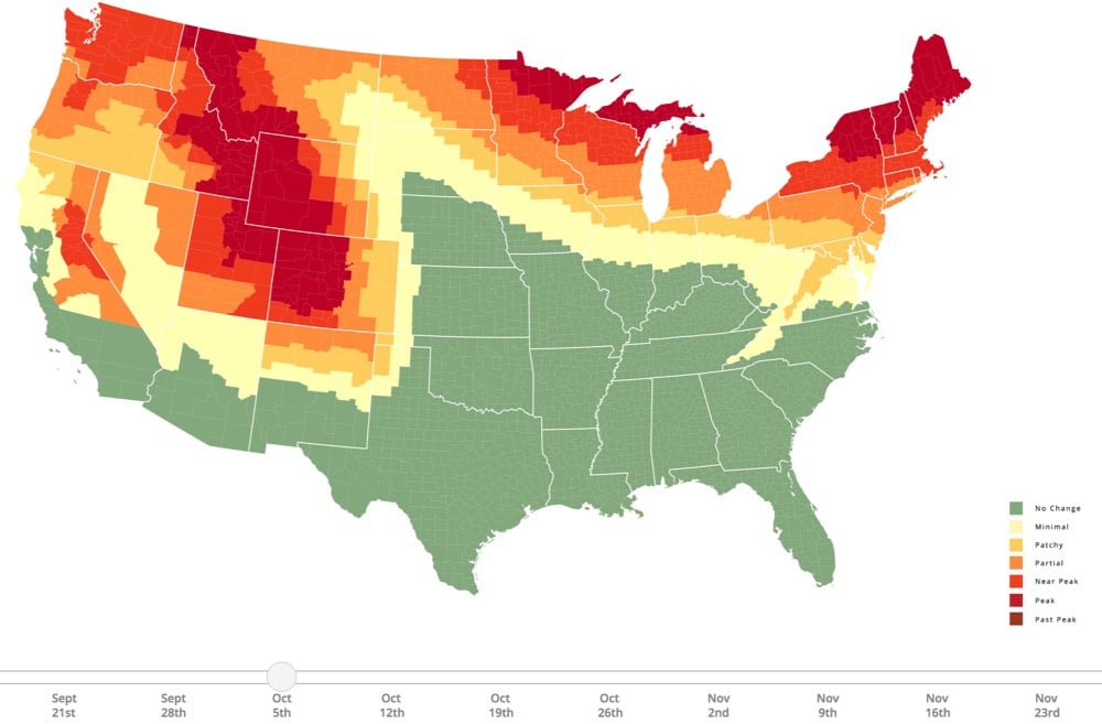 Fall Foliage 2019