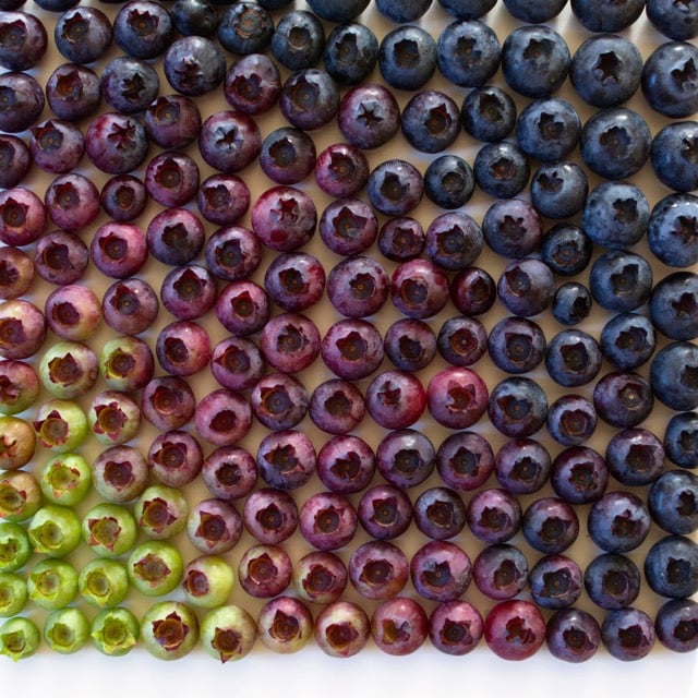 Food Gradients