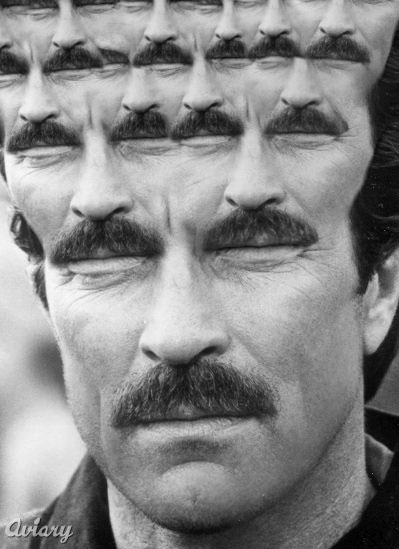 Fractal Tom Selleck