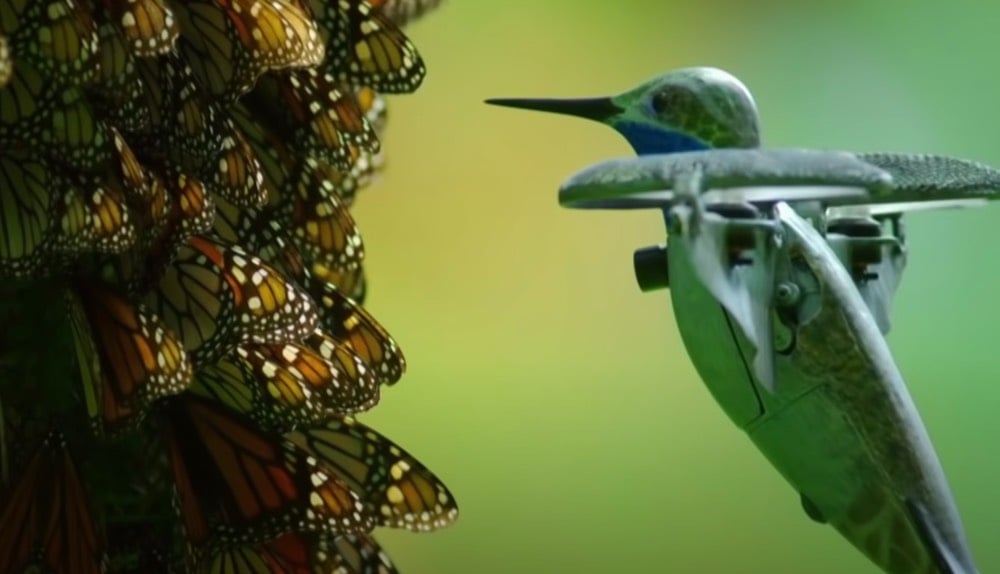 Hummingbird Drone