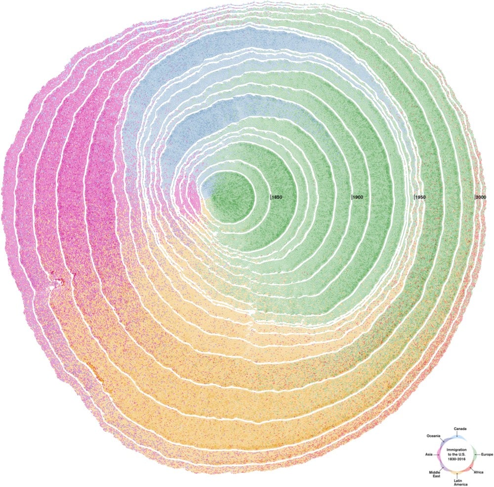 Immigration Dendrochronology