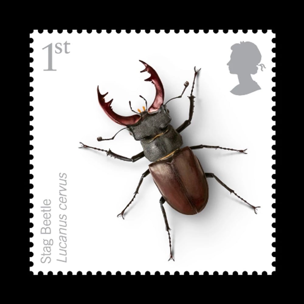 Insect stamps