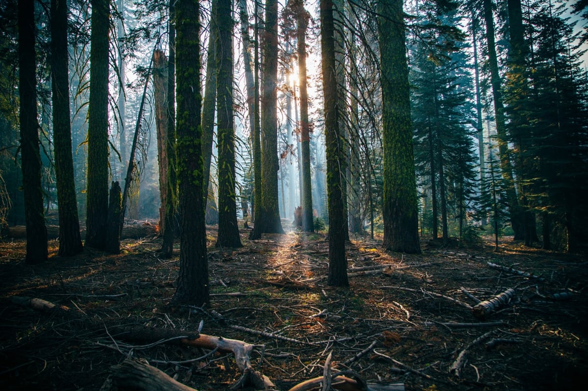 Jesse Gardner on Unsplash, Yosemite Valley, United States