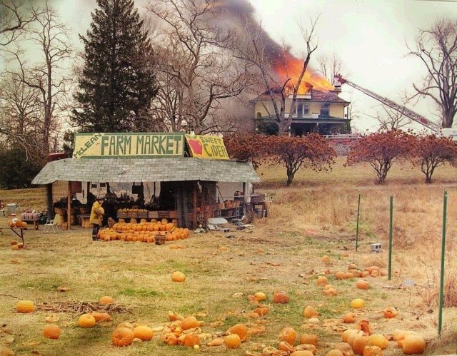 Joel Sternfeld Fire