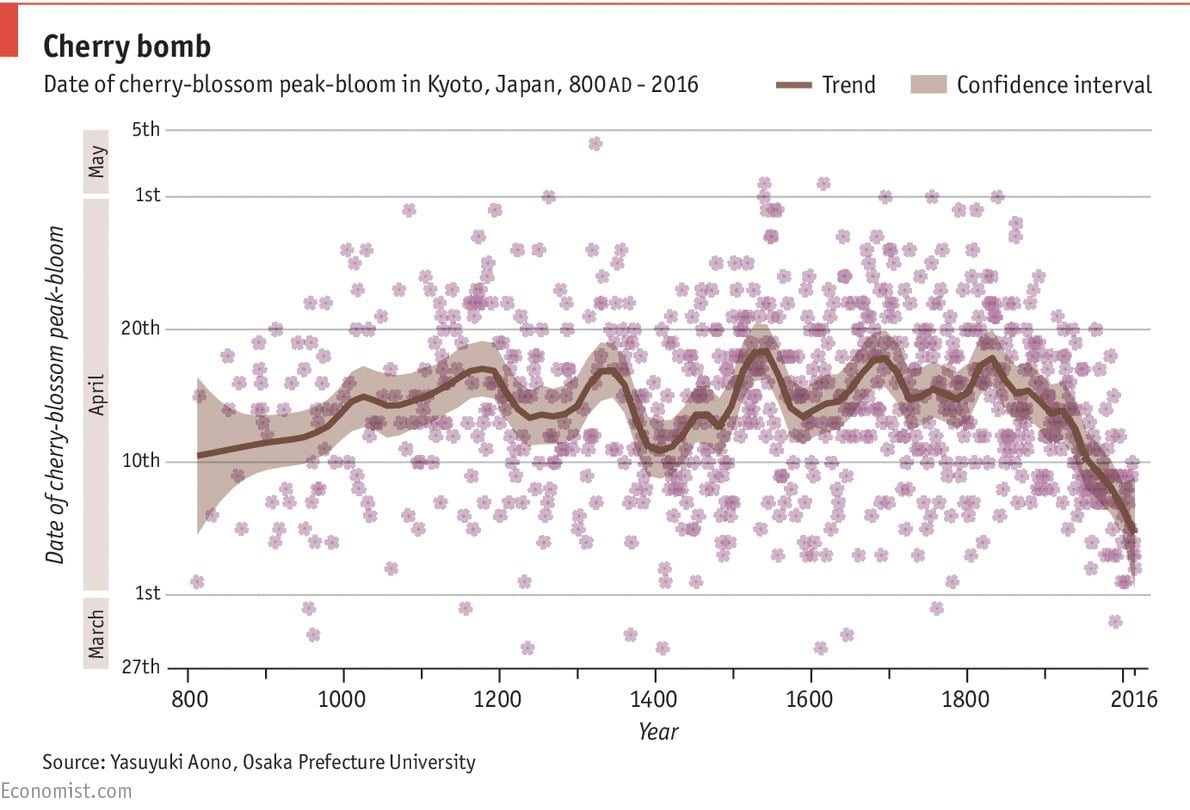 Kyoto Cherry Blossom Chart