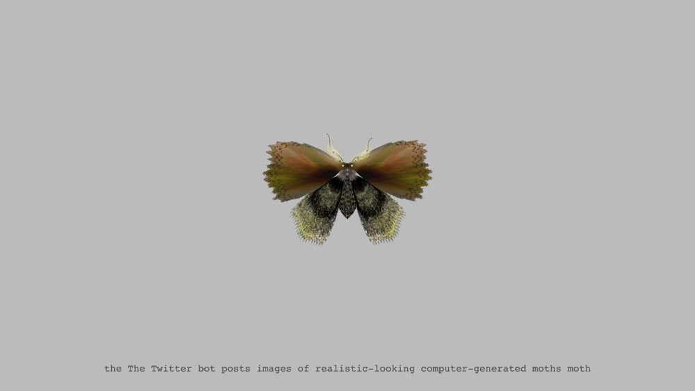 Moth Generator