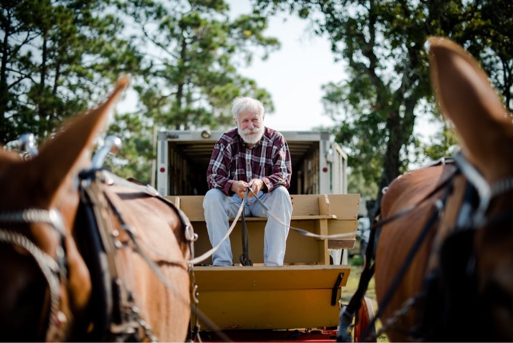 a man sitting on a wagon being pulled by two mules