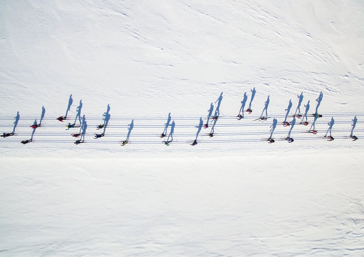 Musical Skiers