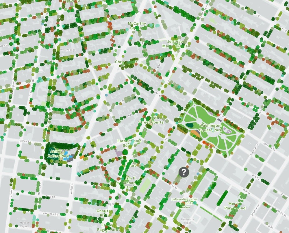 Nyc Street Tree Map