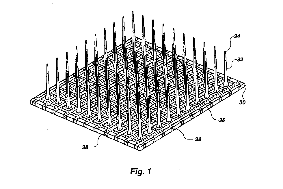 Brain implant patent illustration