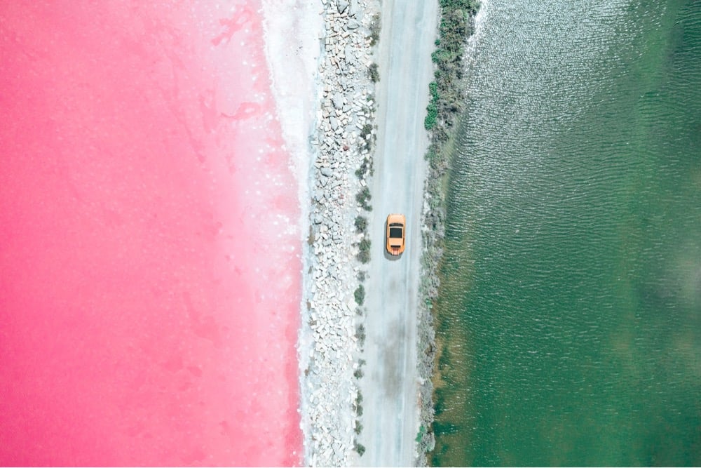 pink salt marsh from overhead