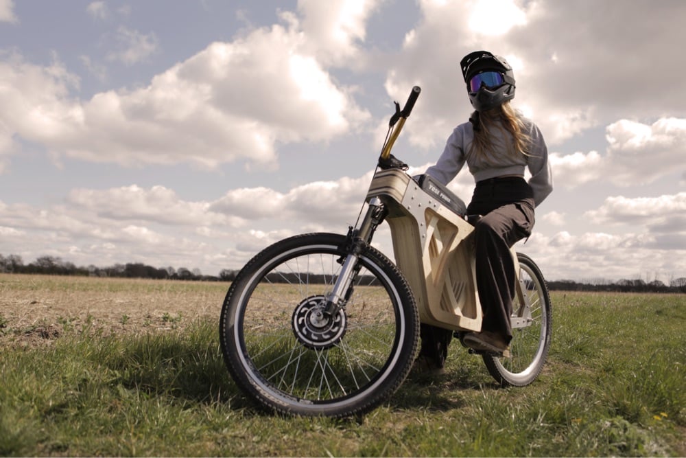 an ebike made of plywood