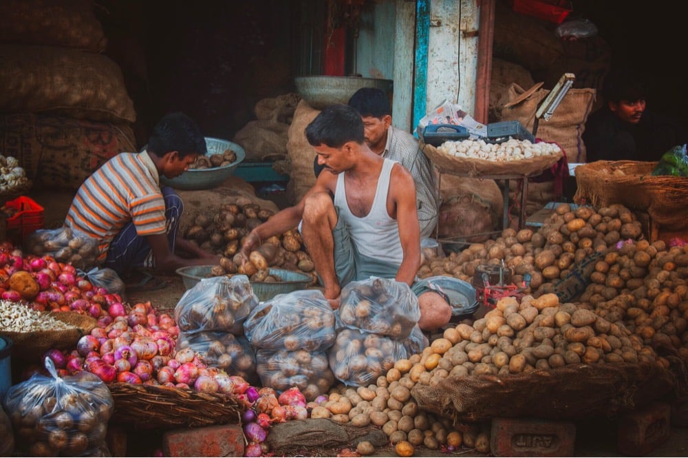 men sorting potatoes