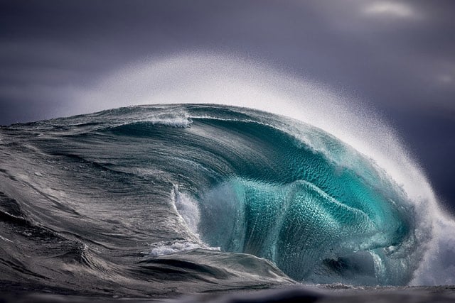 Ray Collins