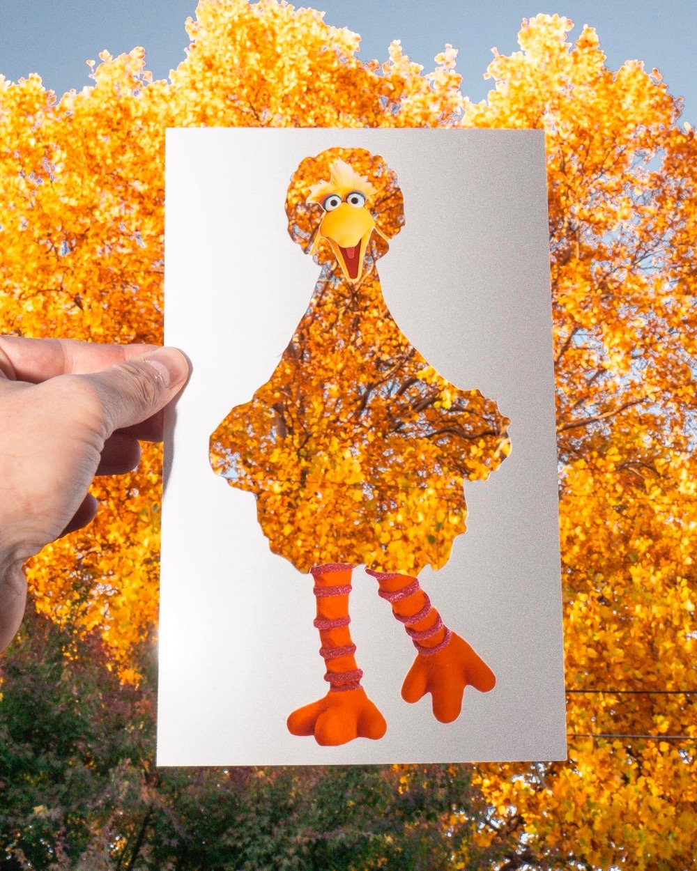 cutout portrait of Big Bird