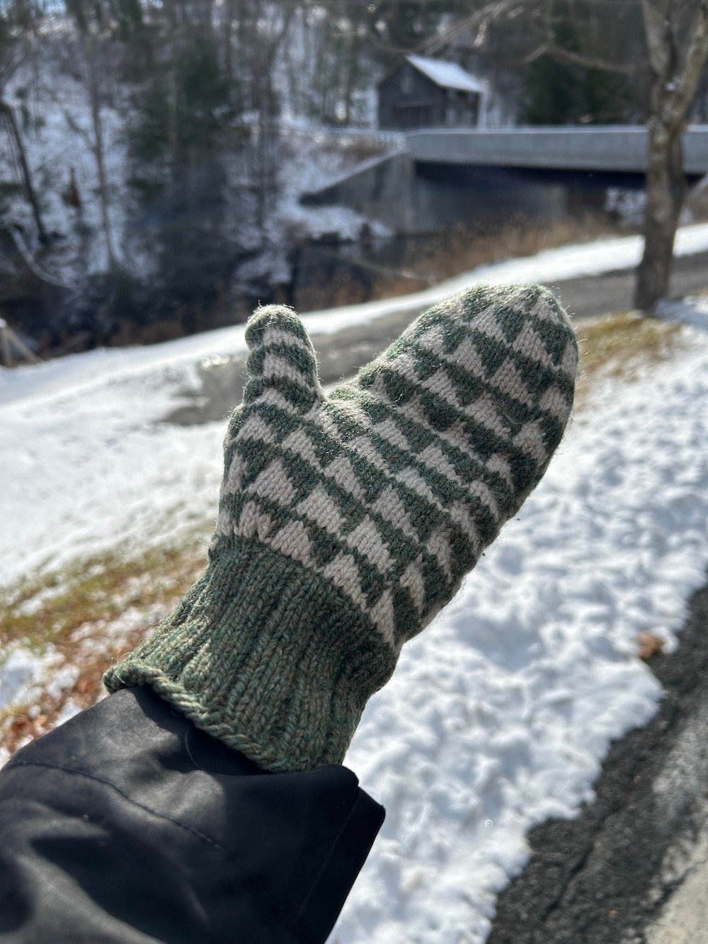 sawtooth-mittens-robin-hansen.jpg