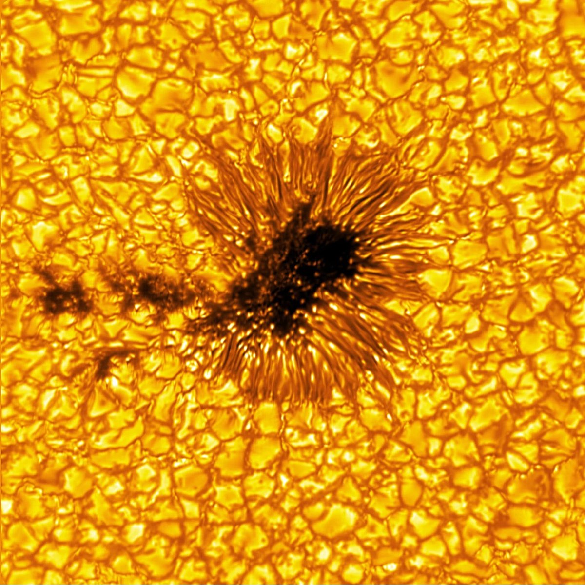 closeup shot of a sunspot taken with the Inouye Solar Telescope