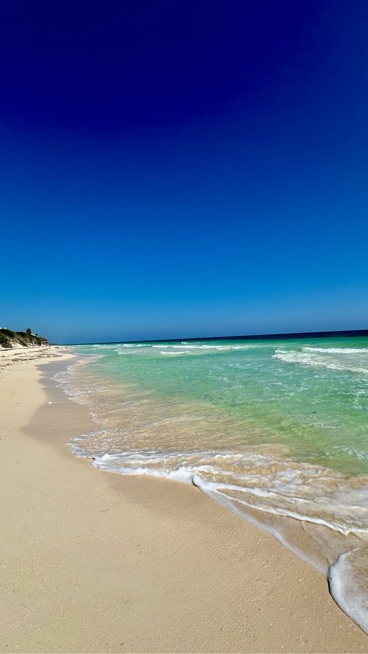 a sunny and deserted stretch of beach in Tulum, Mexico