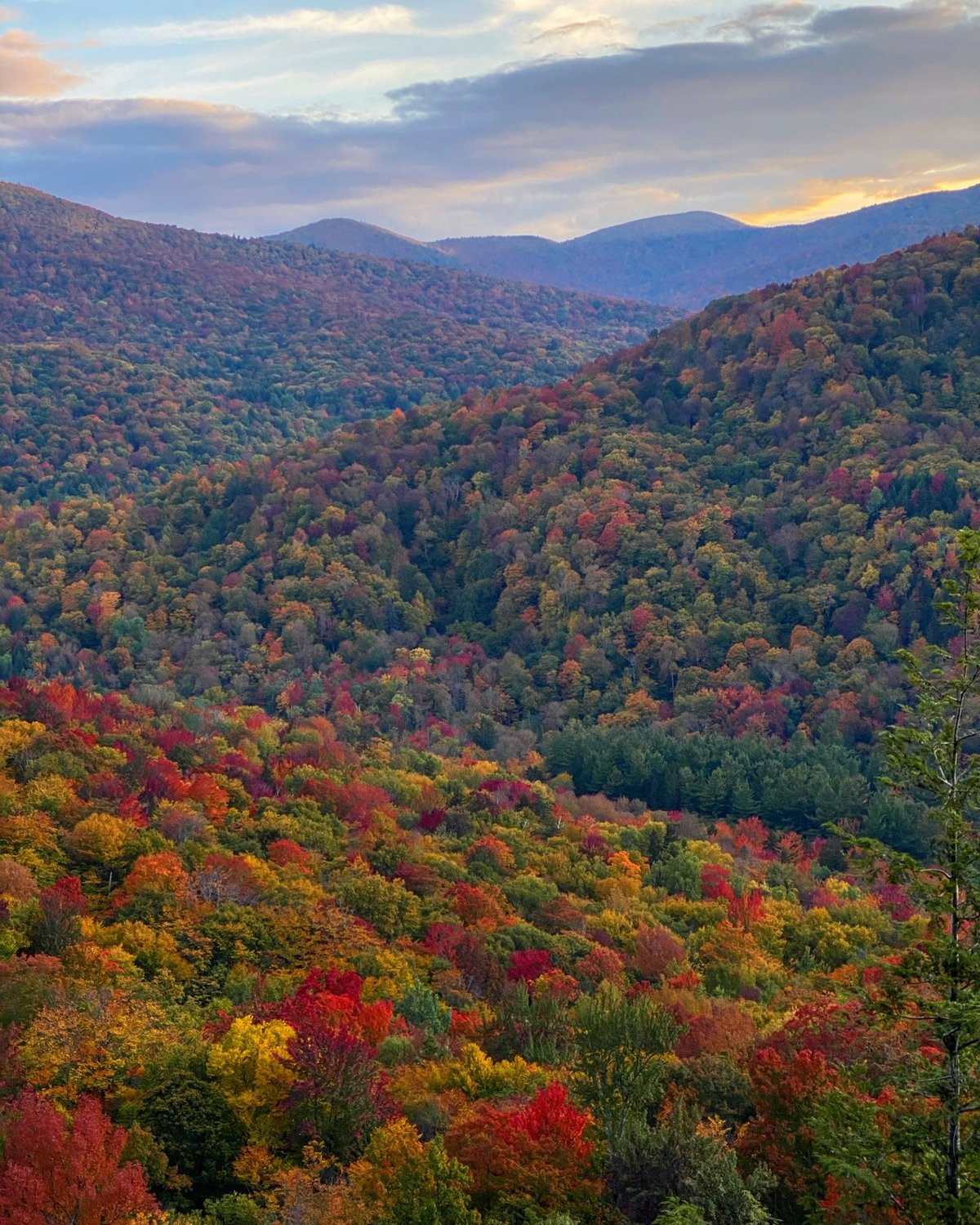 VT Fall Foliage 2020