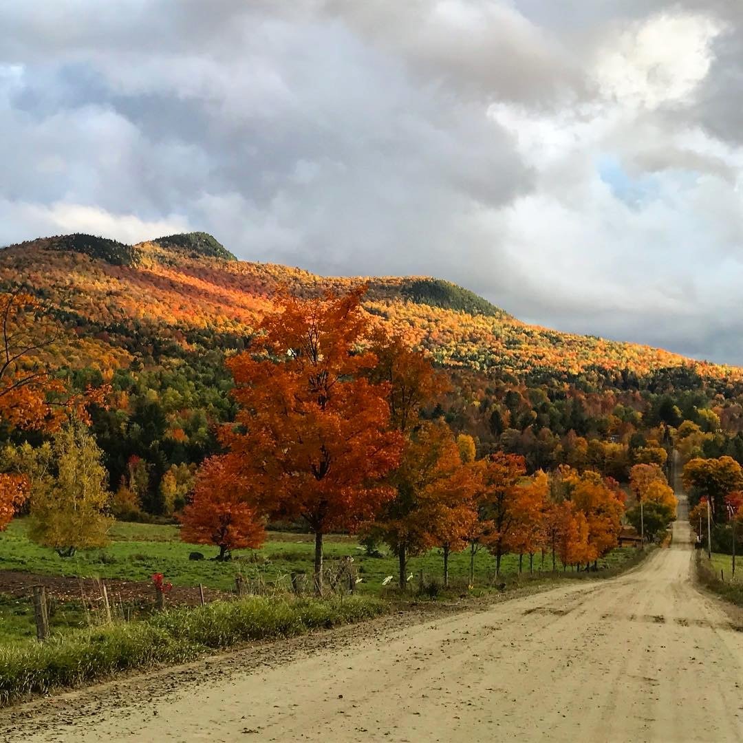 Vt Foliage 2016