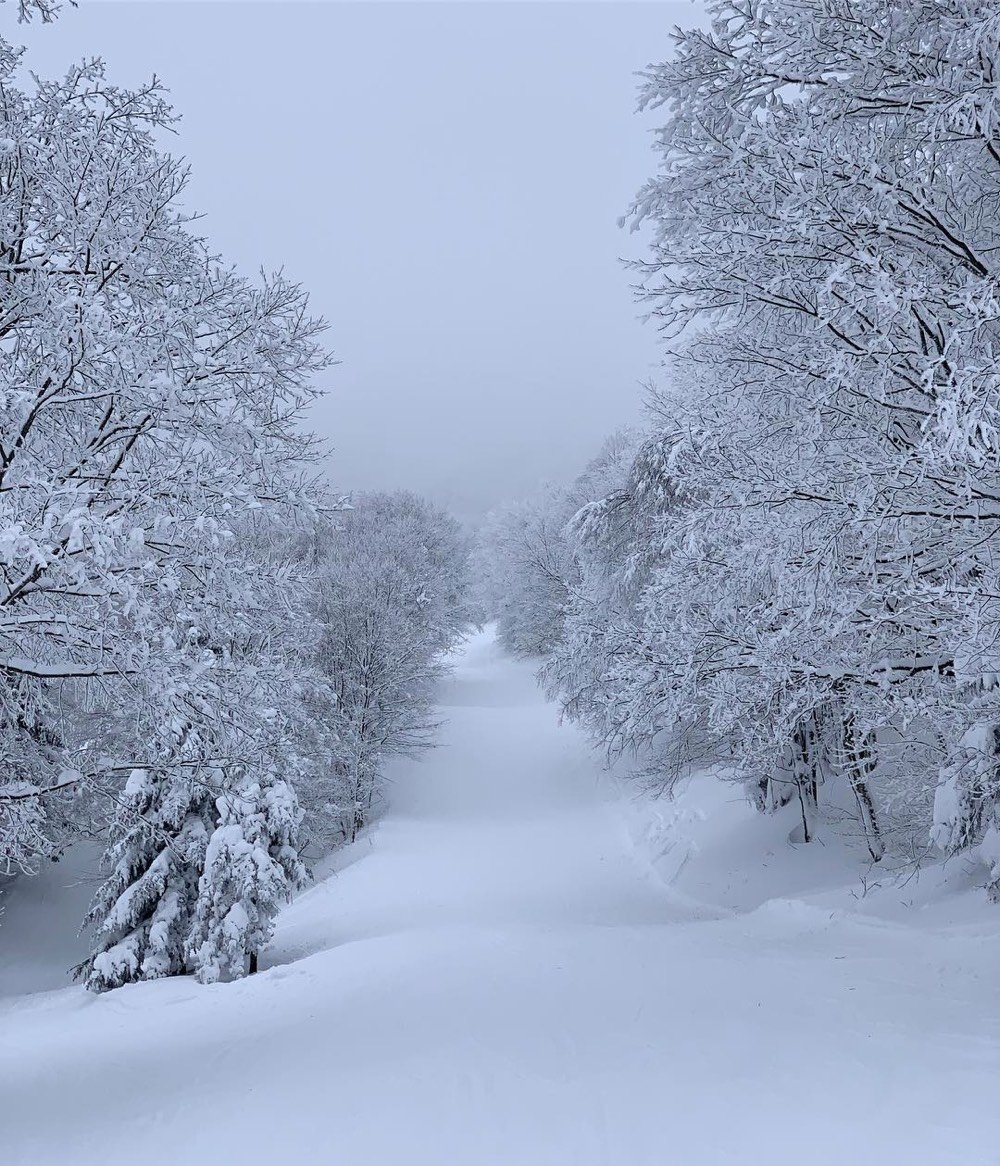 VT Winter Wonderland