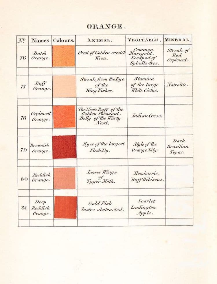 werners-nomenclature-of-colours-4.jpg