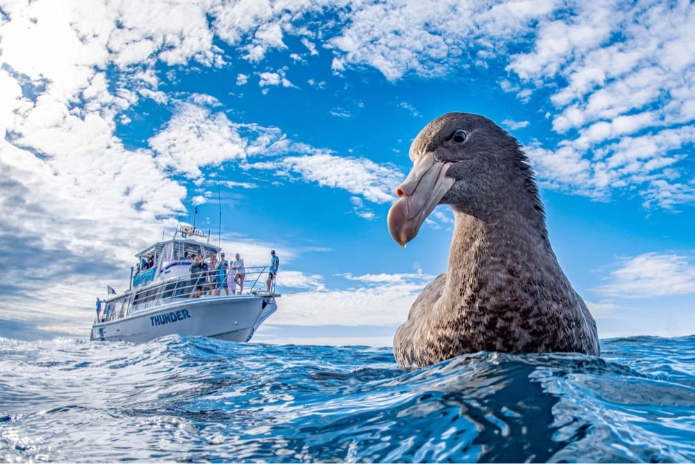 winner of the 2020 World Nature Photography Awards