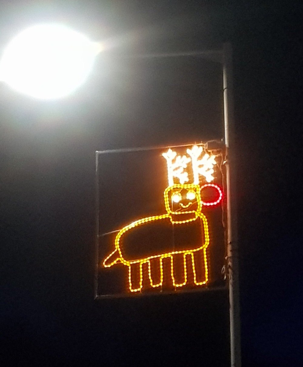 Christmas lights designed by kids